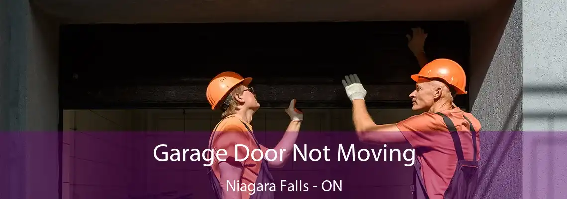 Garage Door Not Moving Niagara Falls - ON