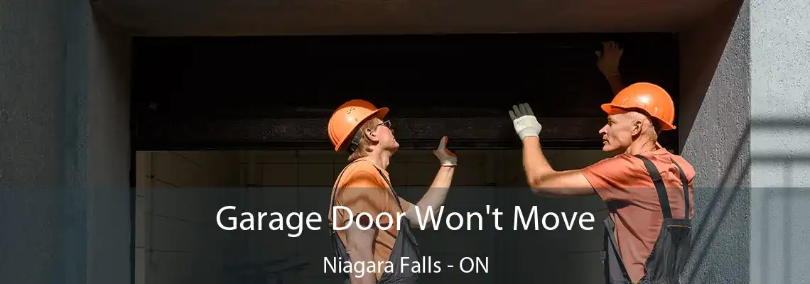 Garage Door Won't Move Niagara Falls - ON