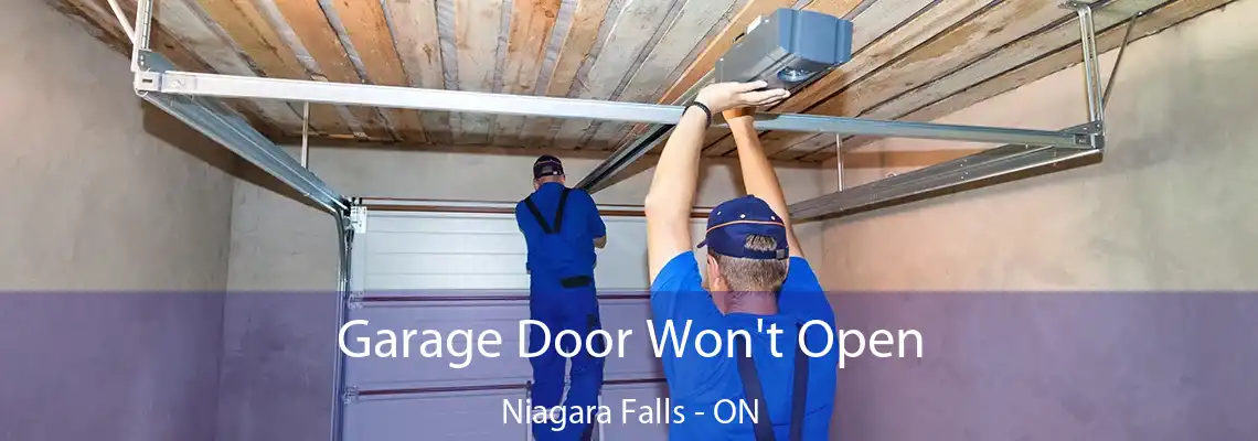 Garage Door Won't Open Niagara Falls - ON